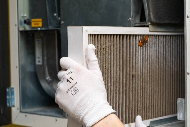 Air Quality Test in Laurel, DE