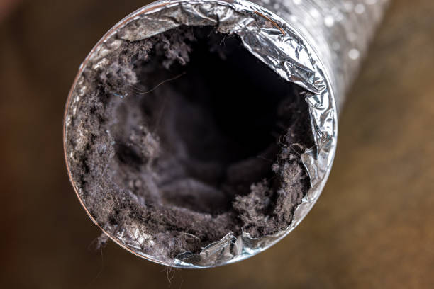 Best Air Duct Cleaning Near Me  in Laurel, DE