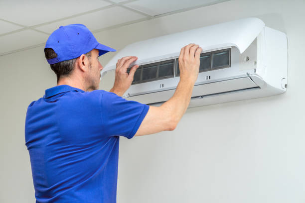 Air Duct Mold Removal in Laurel, DE